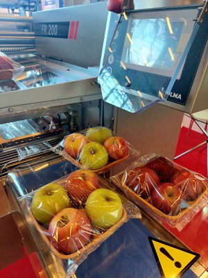 IMG-20240613-WA0008.jpg IMG-20240613-WA0008.jpg