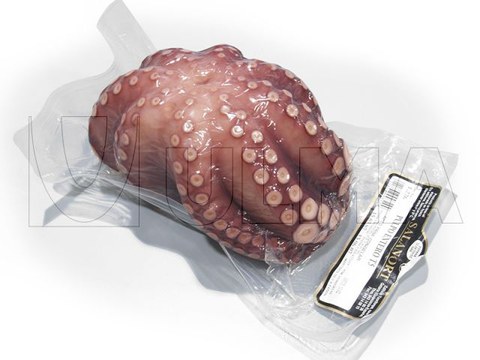 Вакуумная упаковка осьминога на термоформере